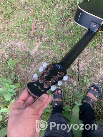 অরজিনাল গিটার