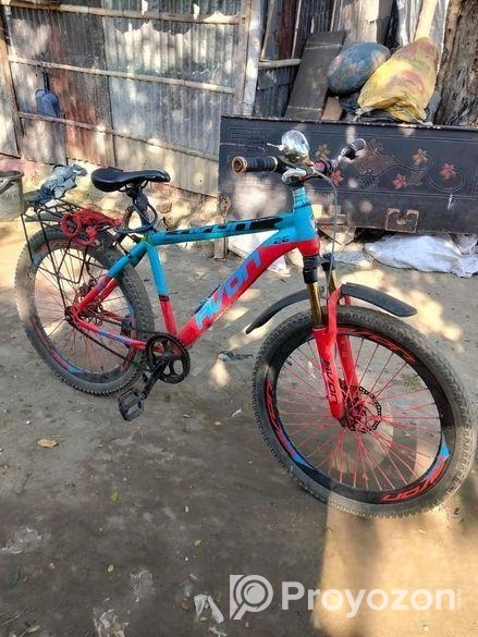 সাইকেল 2025