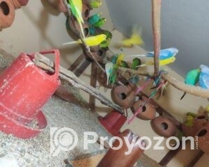 fitted-1_2025-12-01_09-34-57