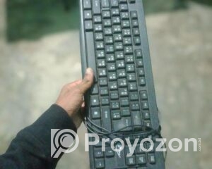 fitted-1_2025-12-22_09-48-43