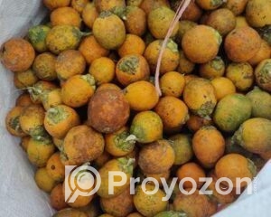 fitted-21_2025-12-22_10-27-54