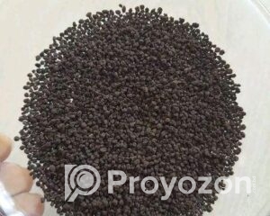 fitted-23_2025-12-18_09-59-23