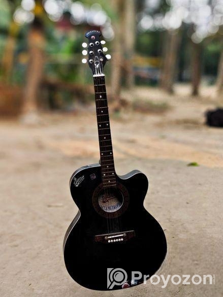 গিটার বিক্রি হবে