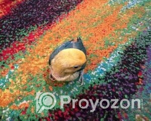 fitted-27_2025-12-11_10-22-59