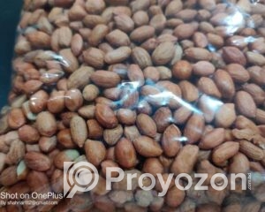 fitted-27_2025-12-18_10-03-08