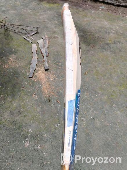 ইংলিশ উইলো ক্রিকেট ব্যাট