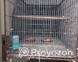 fitted-2_2025-12-06_09-48-26