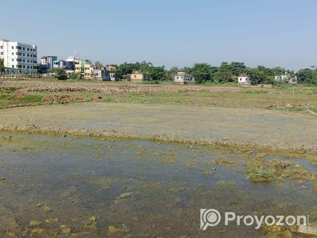 ৮ শতক জমি বিক্রয় হইবে