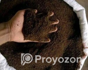 fitted-32_2025-12-13_10-19-55