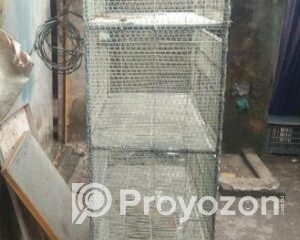 fitted-32_2025-12-20_10-28-10