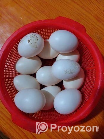 দেশি মুরগির ডিম