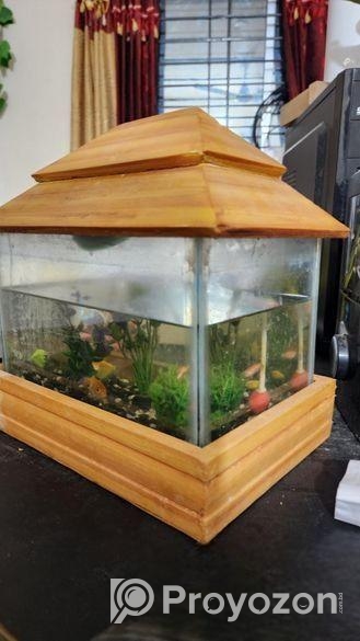 মিনি একুরিয়াম