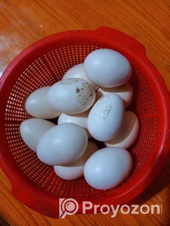 দেশি মুরগির ডিম