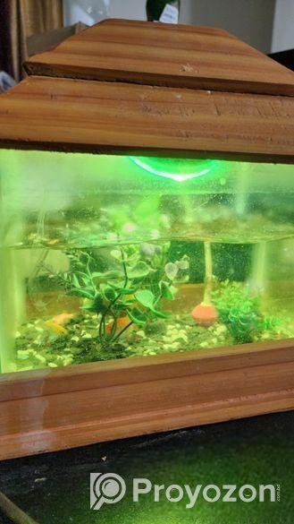 মিনি একুরিয়াম