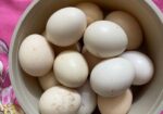 দেশি মুরগির ডিম বিক্রি হবে