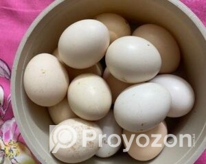 fitted-36_2025-12-01_09-51-25