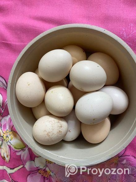 দেশি মুরগির ডিম বিক্রি হবে