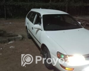 fitted-36_2025-12-13_10-26-38