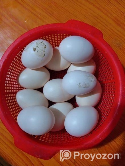 দেশি মুরগির ডিম