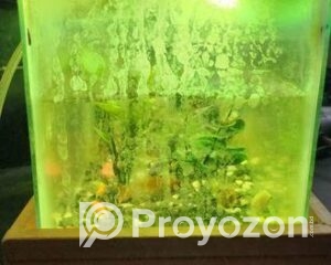 fitted-36_2025-12-30_11-54-26