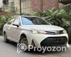 fitted-39_2025-12-18_10-44-01