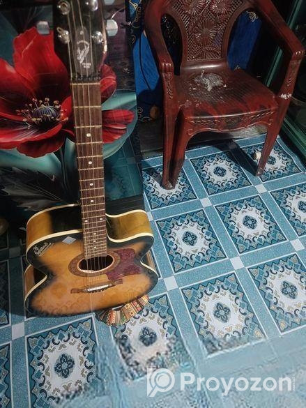 সিগনেচার গিটার