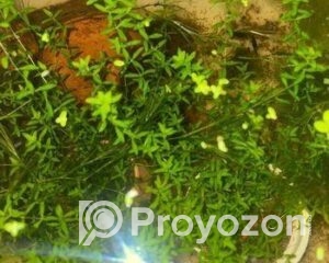 fitted-3_2025-12-03_09-39-47