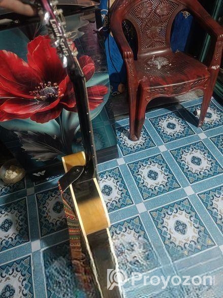 সিগনেচার গিটার