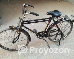 fitted-41_2025-12-14_09-48-07