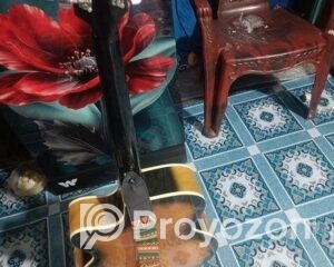 fitted-41_2025-12-24_10-02-14