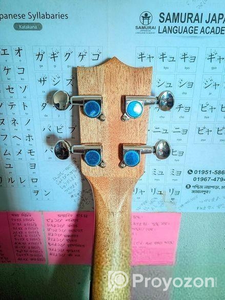 উকুলেলে বিক্রয় হবে