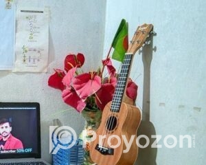 fitted-48_2025-12-31_10-08-51