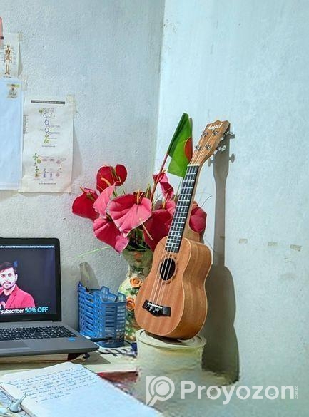 উকুলেলে বিক্রয় হবে