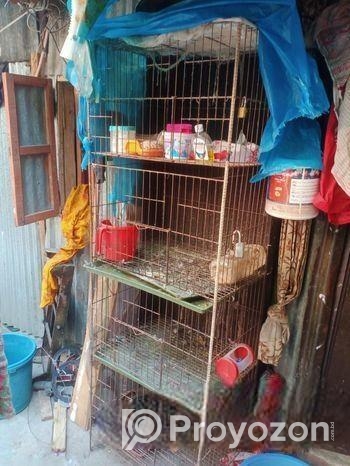 খাঁচা টি বিক্সি হবে