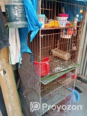 খাঁচা টি বিক্সি হবে