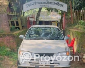 fitted-54_2025-12-06_10-26-06