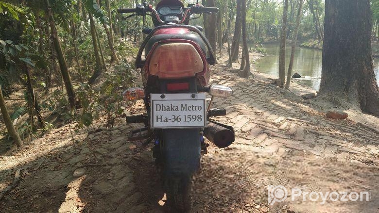 Runner Royal Plus 2017