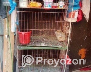 fitted-55_2025-12-06_10-10-55