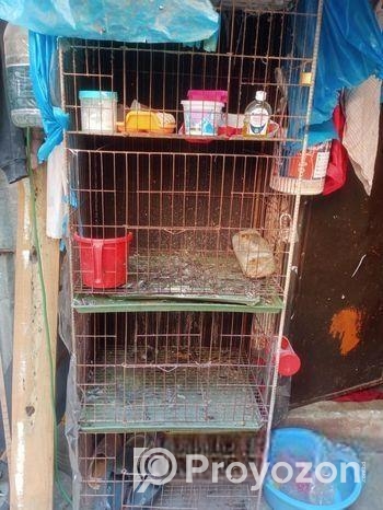 খাঁচা টি বিক্সি হবে