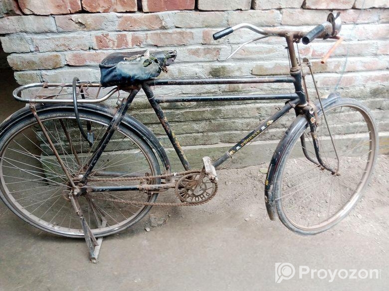 Phoenix Bicycle for sale