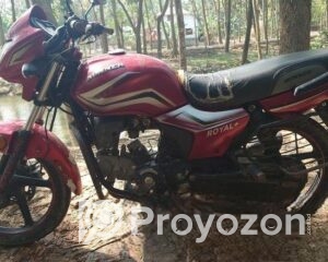 fitted-56_2025-12-01_10-38-21