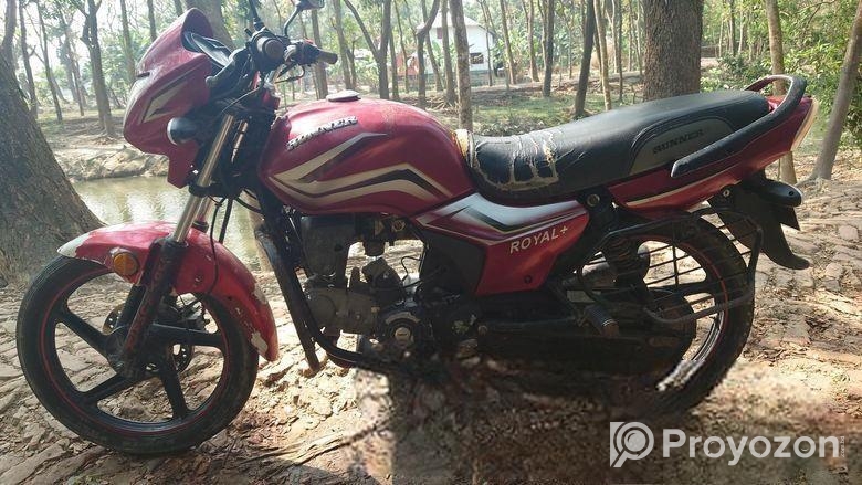 Runner Royal Plus 2017