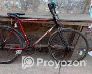 fitted-56_2025-12-06_10-35-32