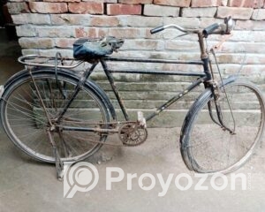 fitted-56_2025-12-20_11-25-23