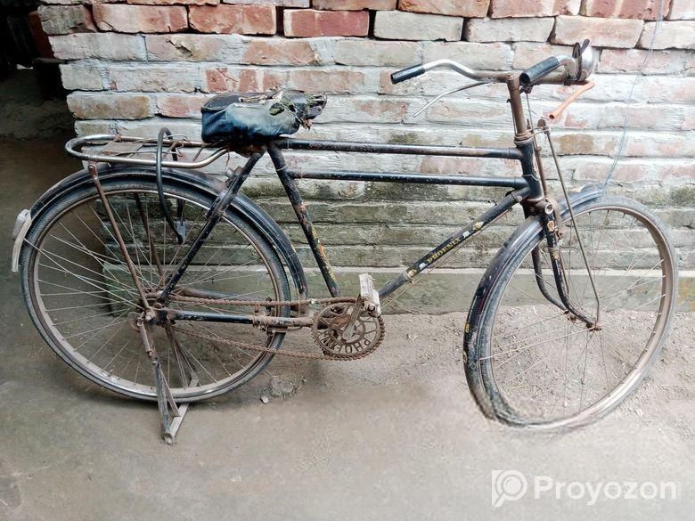 Phoenix Bicycle for sale