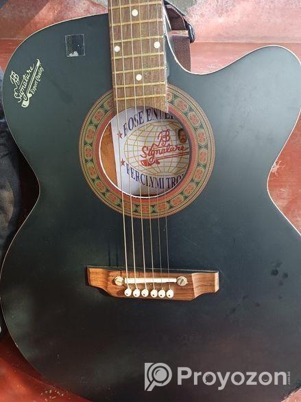 Acoustic Guitar Sale