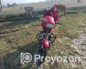 fitted-63_2025-12-31_10-45-57