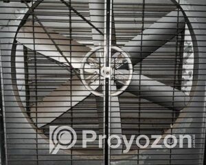 fitted-65_2025-12-10_09-51-20