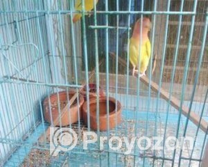 fitted-66_2025-12-09_10-04-26