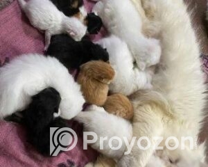 fitted-6_2025-12-06_09-56-59